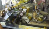 10“ de Inkapselingsmachine van Hoge snelheidssoftgel, Softgel-Capsule die Machines maakt