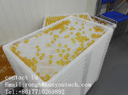 Witte Stapelbare Plastic Dienbladen van de Voedselrang/Koeldienblad 762*495*55mm