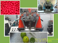 De Capsulemachine van Softgel van de Canabisolie met de Poreuze Rol van de Roestvrij staalolie