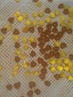 Van micro- de Inkapselingsmachine Schaal Automatische Vgel voor Honing/Cbd-Oliecapsule