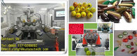 Het Tellen en de Verpakkings de Inkapselingsmachine van Machinepaintball van SS304 Paintball