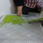 Het Metaal van de voedselrang/Plastic Drogende Dienbladen voor het Drogen van Capsulesuikergoed
