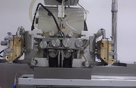 De Inkapselingsmachine van de grote Schaalvistraan softgel met Roestvrij staaldekking