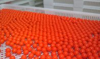 Experimentele Ronde Paintball-Inkapselingsmachine met de Schakelaar/de Knopen van HMI