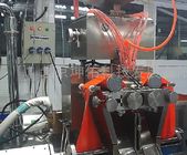 Automatische de Inkapselingsmachine van hoge Precisiesoftgel voor 8#OV 43470 Capsules/H