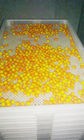 Anti Hoog de Dienbladenpe van Temprature Plastic Drogend Materiaal voor het Drogen Bevriezend Baksel