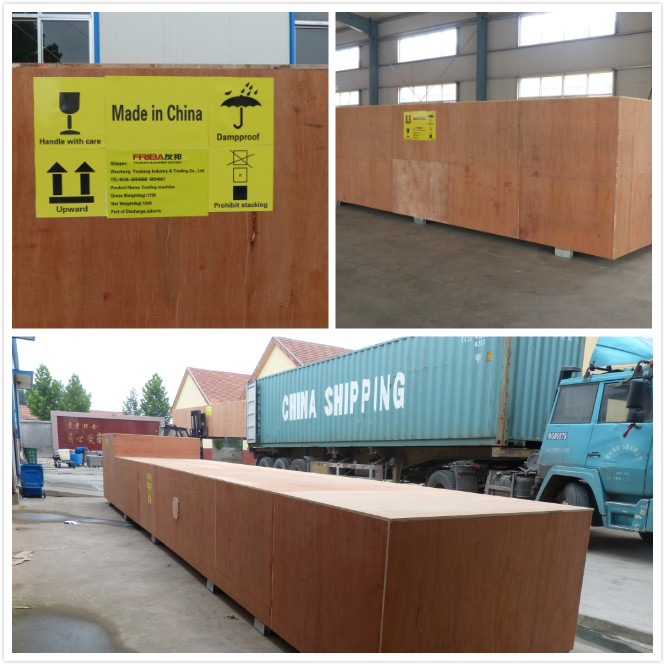 Van de Inkapselingsproducion van SS304 Softgel de Linnendrogermachine 7