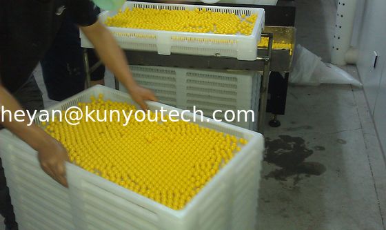Kwaliteit  Propene Polymer Large Plastic Trays Food Grade 780 * 495 * 55mm With 4mm Hole Fabriek