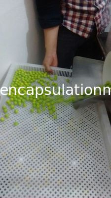 Elektrische Volledige Automatische Capsule het Vullen Machine met Groot PLC van de Luchtstroom Touch screen