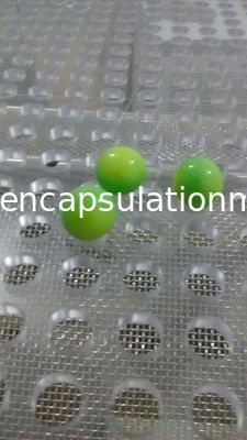 Capsule en paintball de besparing van Dryer Energy van de Inkapselingstuimelschakelaar