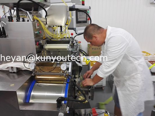 Automatische Capsule het Vullen Machine voor voedsel-vissen olie, Vitamine, en Bijenhoning