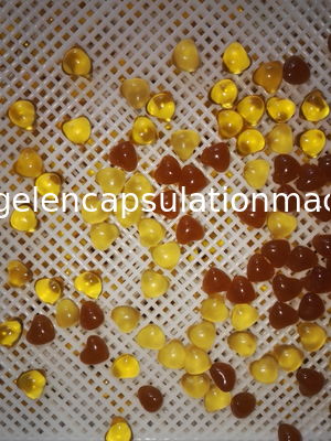 7 van het Broodjessoftgel van de duimmatrijs de Inkapselingsmachine voor Cbd-Olie, 1 Jaar Warantee