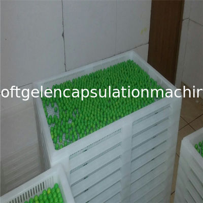Softgelcapsules Plastic het Drogen Dienbladenlager Aangepaste Kleur Op hoge temperatuur
