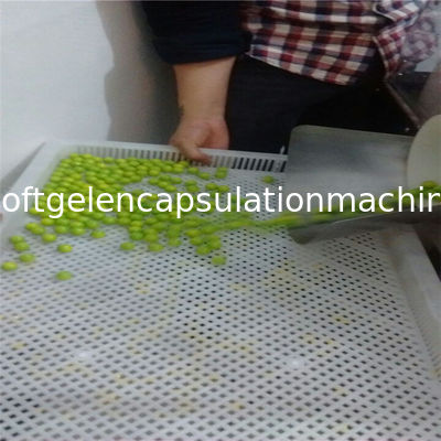 Het Metaal van de voedselrang/Plastic Drogende Dienbladen voor het Drogen van Capsulesuikergoed