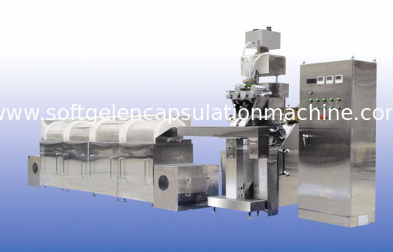 13kw klassieke de Inkapselingsmachine van ontwerpsoftgel voor vistraan, knoflookolie, vatamin het vullen
