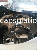 De Inkapselingsmachine 304/316 van het roestvrij staal Zachte Gel voor Kosmetische Capsule