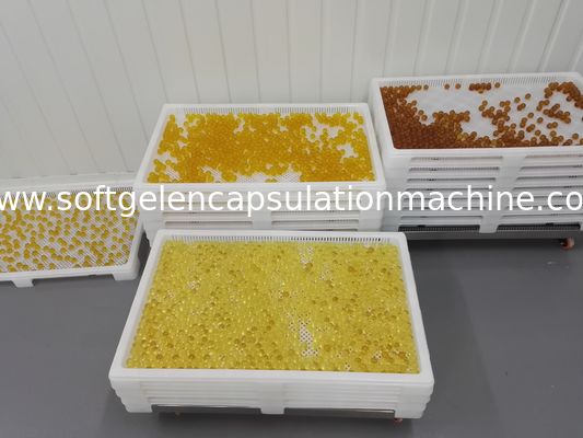 Kunnen de Plastic Drogende Dienbladen van de voedselrang met Gaten 800*500 stapelen