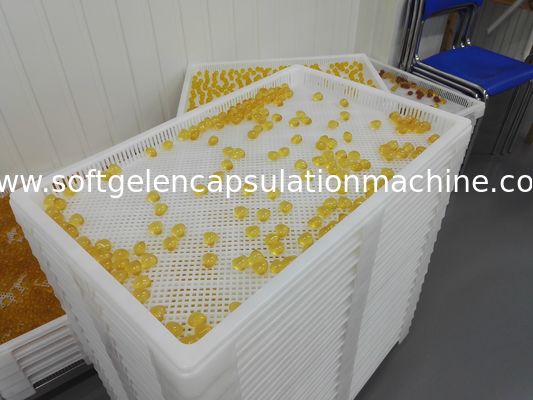 Kunnen de Plastic Drogende Dienbladen van de voedselrang met Gaten 800*500 stapelen