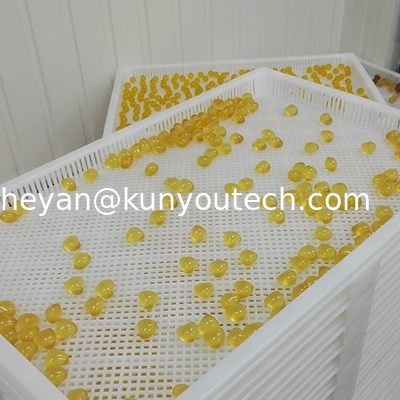 De witte Plastic Drogende Dienbladen van de Voedselrang voor de Capsules en Paintball van Softgel