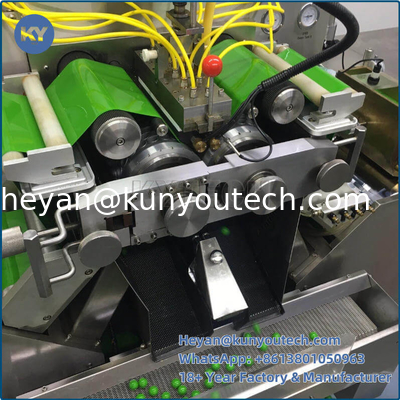 Van de de leveranciersr&d de Automatische Vgel Inkapseling van China Machine Hoge Efficency ook voor paintballmachine