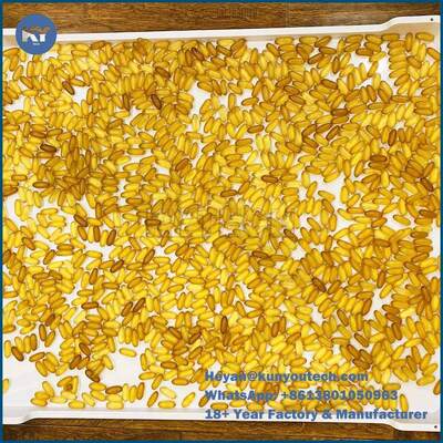 Vlakke Bodemppe Plastic Drogende Dienbladen 75 * 55 * 5cm voor Capsulesuikergoed