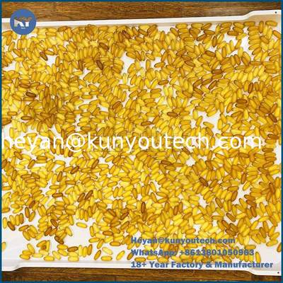 PP/ABS-materiaal Platte bodem plastic droogbak 758x608x40 mm voor het drogen van capsules