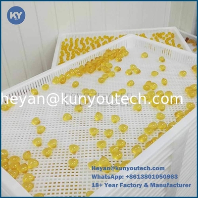 PP-ABS-drogbak van voedselkwaliteit van kunststof 758x608x40mm