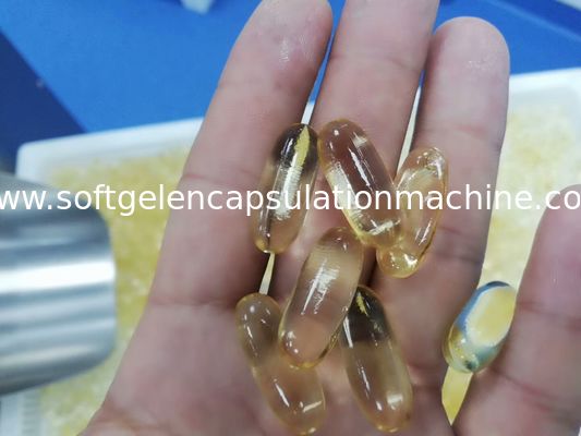 Machine van de de Gelatineinkapseling van de Canabisolie de Zachte voor Farmaceutische Ondernemingen