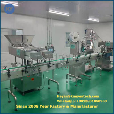 Softgel/van de Tablet het Tellen en Verpakking Machine 10 - 120b/M SS304 Materiaal