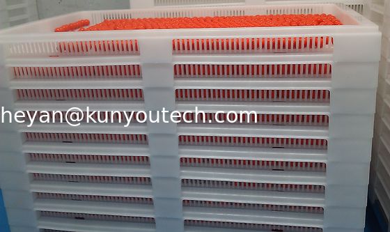 Witte Stapelbare Plastic Dienbladen van de Voedselrang/Koeldienblad 762*495*55mm