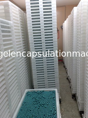 Softgel Plastic Drogende Dienbladen
