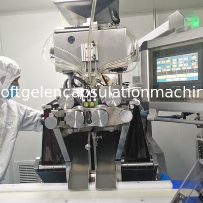 7 van het Broodjessoftgel van de duimmatrijs de Inkapselingsmachine voor Cbd-Olie 1 Jaargarantie