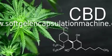 Automatisch Softgel-het Laboratoriumgebruik die van de Inkapselingsmachine voor CBD-olie de markt van de V.S. vullen