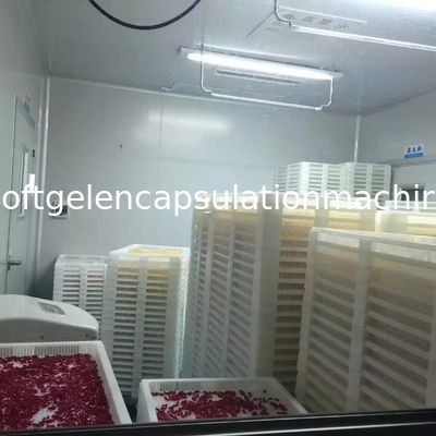 Farmaceutisch van de de Capsulemachine SS316 van het de Industrie Zacht Gel de Machinemateriaal