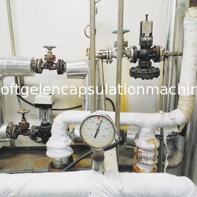 De Capsule van veganistsoftgel Productiemateriaal 15000 - 18000 Capsules/H
