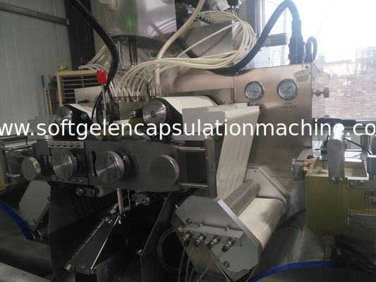 PLC Controlecapsule Farmaceutische 1 Jaargarantie van de Productiemachine