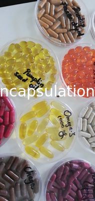 Zachte de Capsulevorm 50000pcs/H van de Gelatineinkapseling 103x152