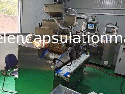 6 RPM Softgel Incapsulatie Machine Visolie En Paste Volledig 120000 Pcs/H
