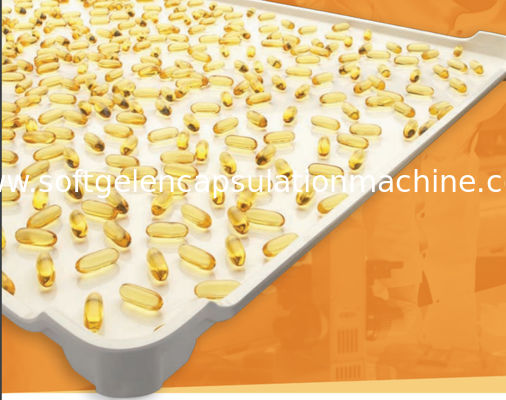 Salmon Oil Cbd Oil Soft-Capsule die tot Machine maken Autocontrole