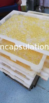 Medische de Capsulemachine van de Inkapselings Zachte Gelatine voor Vistraan het Vullen