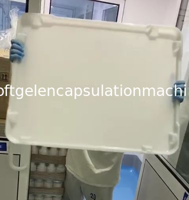 Vlakke Bodemppe Plastic Drogende Dienbladen 75 * 55 * 5cm voor Capsulesuikergoed