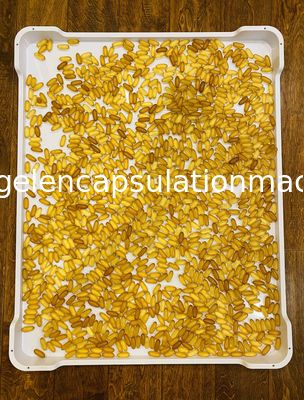 Pp-ABS Vlak Bodemppe Ce 5cm Plastic Drogende Dienbladen voor Capsule het Drogen