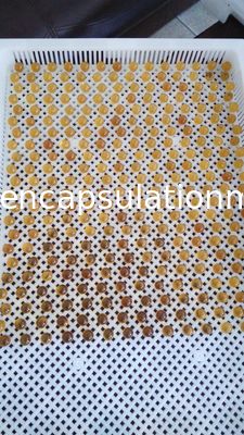 Pulsant die Naadloze Softgel-Machine snijden
