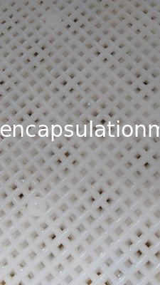 Plastic Drogend de Dienbladenpp Materiaal van de voedselrang voor de Capsule van Paintball/Softgel-