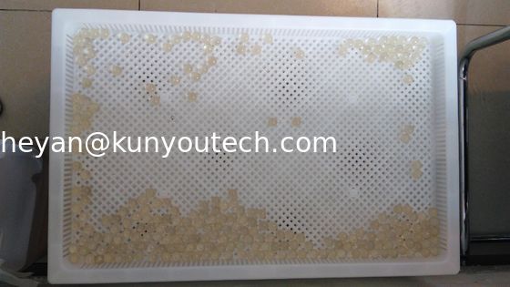 Plastic Drogende Dienbladen voor het Drogen Paintball