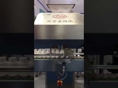 tablet capsuel counting bottle packing machine