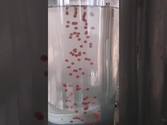 De Inkapselingsmachine van Olive Oil 13kw Softgel van de Canabisolie