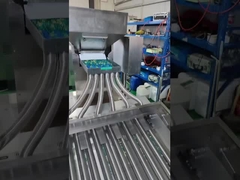 De Machine van de Softgelinkapseling