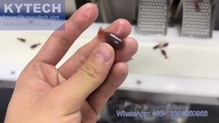 Visvormige servo-softgel-inkapselingsmachine